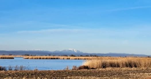 Fertő-táj Világörökség nap