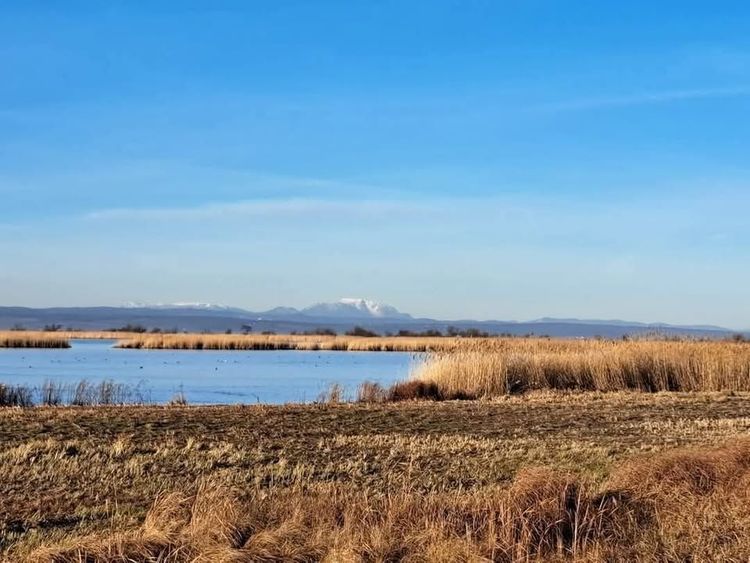 Örökségünk a Fertő-táj verseny a Hungarikumok jegyében